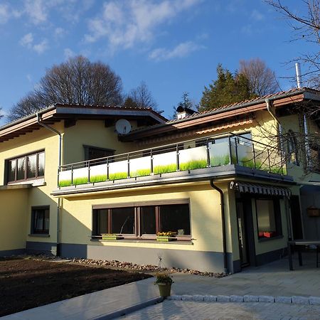 Zum Gscheiten Beck: Black Deer Apartment for 6 with Culinary Connection Feldberg  Exterior photo